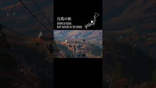 白馬の紅葉・白馬の秋／Autumn in Hakuba travel japan 白馬 shorts 絶景 紅葉 autumn autumnleaves [upl. by Rostand]