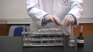 Biurets test Part 2 Identification of Proteins [upl. by Anear]