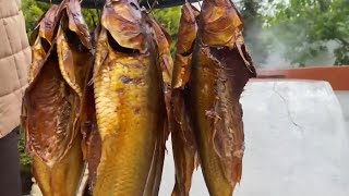 Captivation of Kutum and Zalom fish in the yard method [upl. by Gnuh]