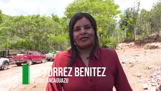 Apoyo a la producción de Stevia en la comunidad de Ñacaguazu municipio de Caraparí [upl. by Netsirhk]