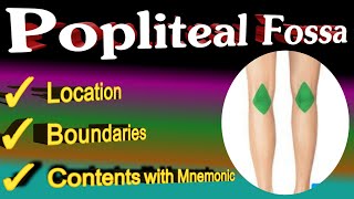 popliteal fossa anatomy  mnemonic [upl. by Rosenfeld]