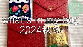 〈シンプルライフ〉whats in my bag バッグの中身 2024秋冬 持ち物紹介 [upl. by Lavicrep]