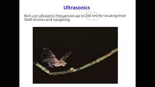 Introduction to Ultrasonic Magnetostriction Effect [upl. by Lednyk]