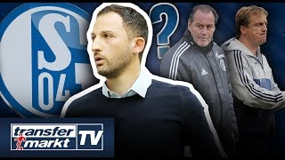 Tedesco auf Schalke vor dem Aus Stevens Büskens amp Co Wer könnte folgen  TRANSFERMARKT [upl. by Amitie]