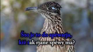 Što je to do spěwarja  Serbski Witaj karaoke song [upl. by Bouton]