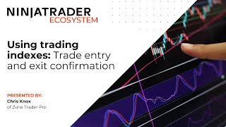 Zone Trader Pro  Using Trading Indexes for Trade Entry and Exit Confirmation [upl. by Oynotna846]