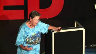 TEDxSeaPointSibylle RiedmillerChumbe Island [upl. by Tlihcox]