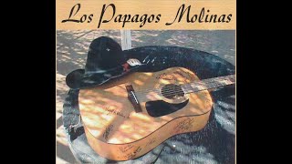 Los Papagos Molinas 2 [upl. by Donalt444]