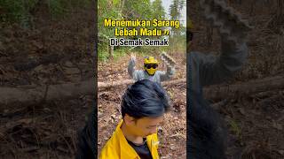 Menemukan Sarang Lebah Madu di Semak Semak kebun Part 1 bolang lebah kebun [upl. by Aviva]