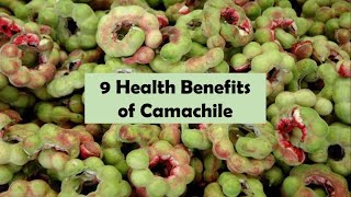 9 Health Benefits of Camachile [upl. by Ylerebmik]