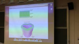 Aherns BB 350 at OSU  12 Membrane Lipids [upl. by Ruthi]