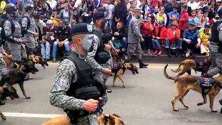 desfile 20 de julio 2017  Bogotá 🇨🇴 parte 3 [upl. by Rosati11]