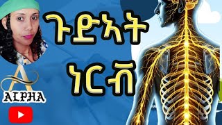 ⭕️⭕️ ጉድኣት ነርቭን ምልክታት ጉድኣት ነርቭን symptoms of nerve damage Viralyoutube Health viralvideo [upl. by Carder]