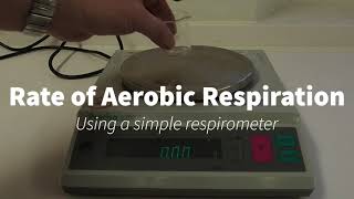 Simple Respirometer IGCSEA Level Biology [upl. by Sheff]