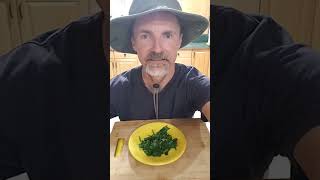 Cooking Turnip Greens Quick amp Easy [upl. by Aeslek]