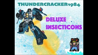 G1 Transformers Reviews  Deluxe Insecticons w Thundercracker 1984 [upl. by Arley656]