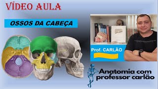 VÍDEO AULA OSSOS DA CABEÇA [upl. by Yorle]