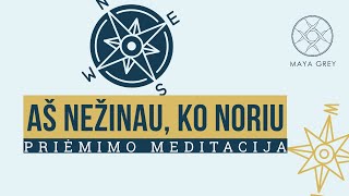 AŠ NEŽINAU KO NORIU  Priėmimo ir dėkingumo meditacija lietuviškai [upl. by Bari]