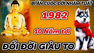 BÍ ẨN VẬN MỆNH CUỘC ĐỜI NHÂM TUẤT 1982 KHỔ TRƯỚC SƯỚNG SAU  10 NĂM TỚI PHẤT MẠNH ĐỐI ĐỜI ĐẠI GIA [upl. by Martyn91]