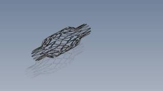 Stent Animation [upl. by Shriver]