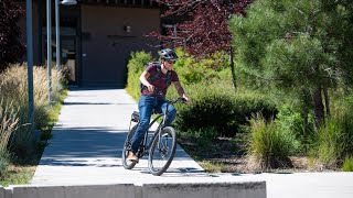 Electra Townie Bicycle 7D Review Is It Worth The Money 2024 [upl. by Sholeen771]