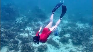 Free diving for the 1st time [upl. by Laurent215]