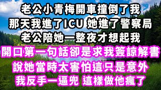 老公小青梅開車撞倒了我，那天我進了ICU她進了警察局，老公陪她一整夜才想起我，開口第一句話卻是求我簽諒解書，說她當時太害怕這只是意外，我反手一逼兜，這樣做他瘋了追妻火葬場大女主現實情感家庭 [upl. by Thurston52]