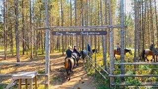 Dry Ridge Outfitters Trail Ride  Harriman State Park Horse Riding [upl. by Nelleh]