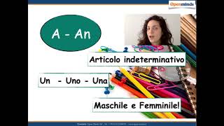 Articoli in inglese  lezione in italiano [upl. by Akerdal]