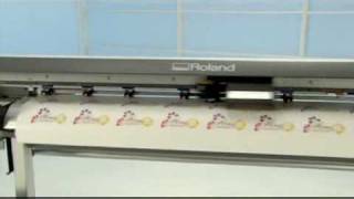 Roland VP 540 VP 300 PrintCut Wide Format Printer [upl. by Houston]