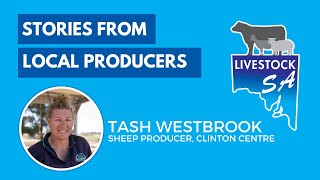 Stories from Local Livestock Producers in South Australia  Tash Westbrook [upl. by Enaitsirhc]