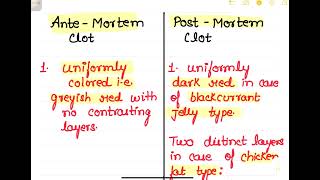 Antemortem Clot vs Postmortem Clot mbbs forensic neetpg forensicscience [upl. by Marmion808]