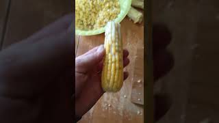 Cooking corn ears 🌽corncultivation cornfarming agriculture shorts [upl. by Haase]