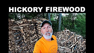 FINALLY the Hickory Firewood gets stacked [upl. by Ocirrej]