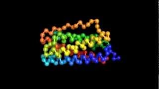 Protein Folding [upl. by Lucias]