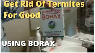 How To Get Rid Of Termites For Good Using Borax  Best Solution Do It Yourself [upl. by Shell]