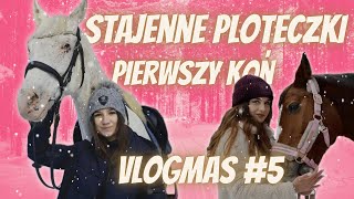 VLOGMAS 5 🎁 STAJENNE PLOTECZKI 🐎 PIERWSZY KOŃ  CO TRZEBA WIEDZIEĆ JAK NAMÓWIĆ RODZICÓW 🎄 [upl. by Ordnassela]