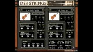 DSK Strings  Free VST [upl. by Hterrag649]