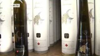 Wine Growing in Canada  Global 3000 [upl. by Nilknarf]