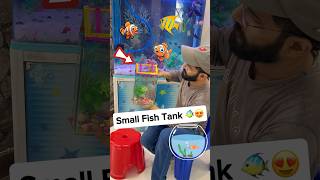 Smallest Fish Tank 🐠😍 oscarfish fish machhali fishvideo fishaquarium [upl. by Nnodnarb990]