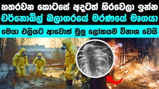 හතරවන කොටසේ ඉන්න මෘගයා කවුද  Chernobyl Whats Under the 4th Block Now [upl. by Nanyk]