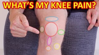 Why Your Knee Hurts Knee Pain Types By Location amp Description [upl. by Benedikt672]