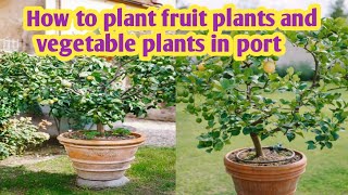 How to plant fruit plants and vegetable plants in port explorewithahmad21 [upl. by Nido]