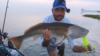 Kayak Fishing  Catching a Massive 40Inch Red Drum in Pamlico Sound Cape Hatteras OBXquot [upl. by Arakaj37]