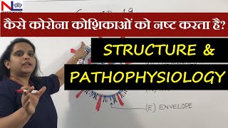 ✳✳ COVID19 कोरोना in Hindi ✳✳ SARSCoV2 Coronavirus  Viral Structure and Pathophysiology [upl. by Acirretal795]