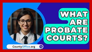 What Are Probate Courts  CountyOfficeorg [upl. by Retsevel]