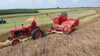 Blackmore Corner Antique Farm Show 2023 Chopping Cutting Plowing and more [upl. by Jannel318]