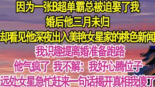 因为一张B超单霸总被迫娶了我，婚后他三月未归，却看见他深夜出入美艳女星家的桃色新闻，我识趣提离婚准备跑路，他气疯了 我不解：我好心腾位子。远处女星急忙赶来一句话揭开真相我傻了甜宠一口气看完小说 [upl. by Ara]