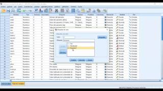 Transformación y Analisis estadistico descriptivo con SPSS [upl. by Annuhsal650]