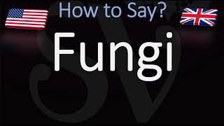 How to Pronounce Fungi [upl. by Allrud]